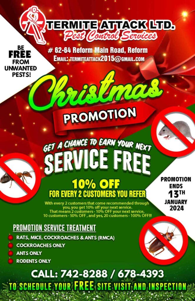 termite attack christmas promotion flyer ()